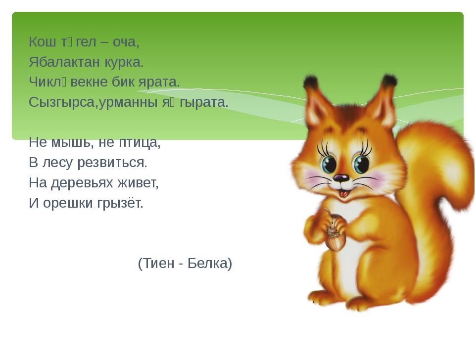 70+ узбекских загадок для детей с ответами