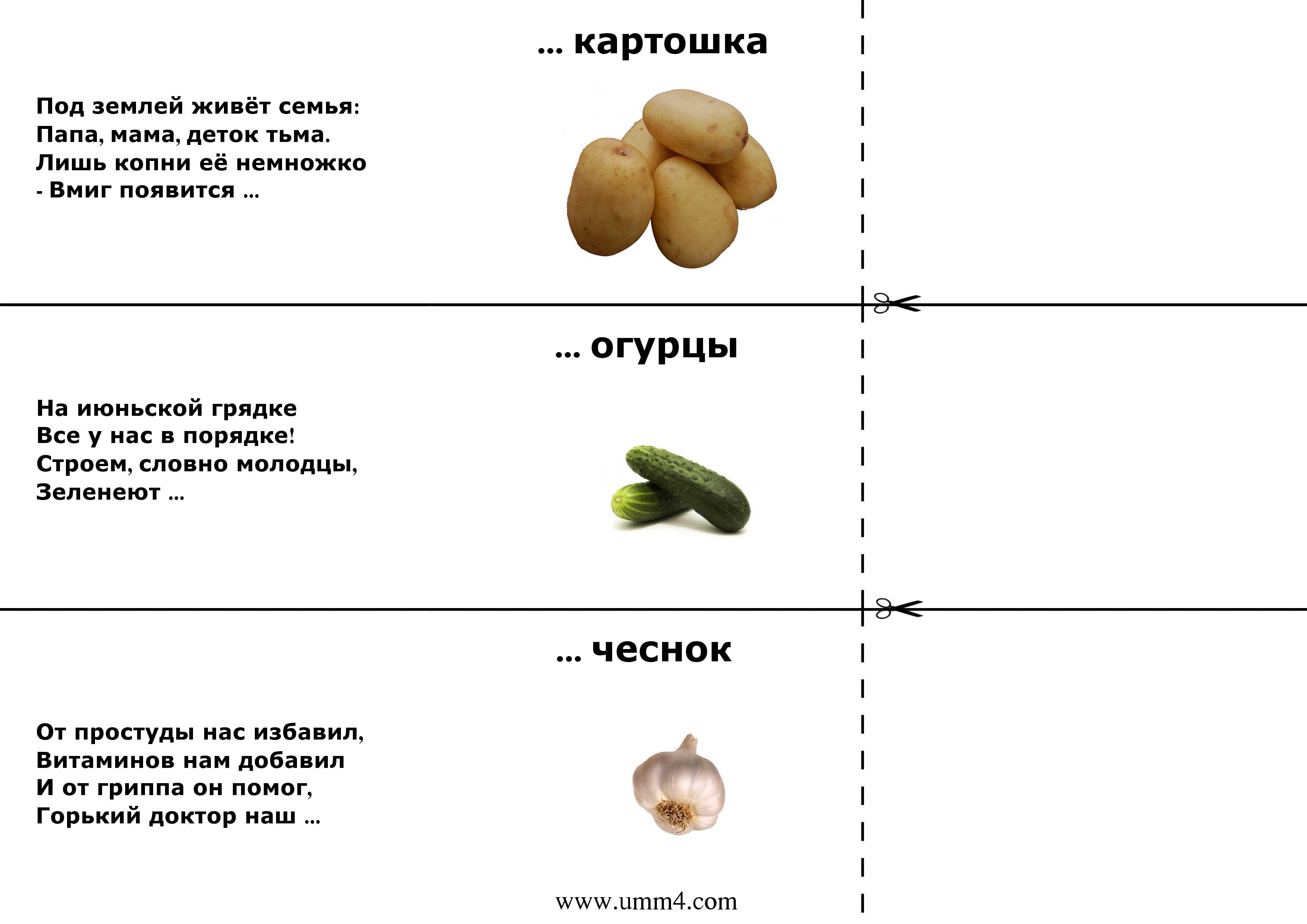 Загадки про ягоды
