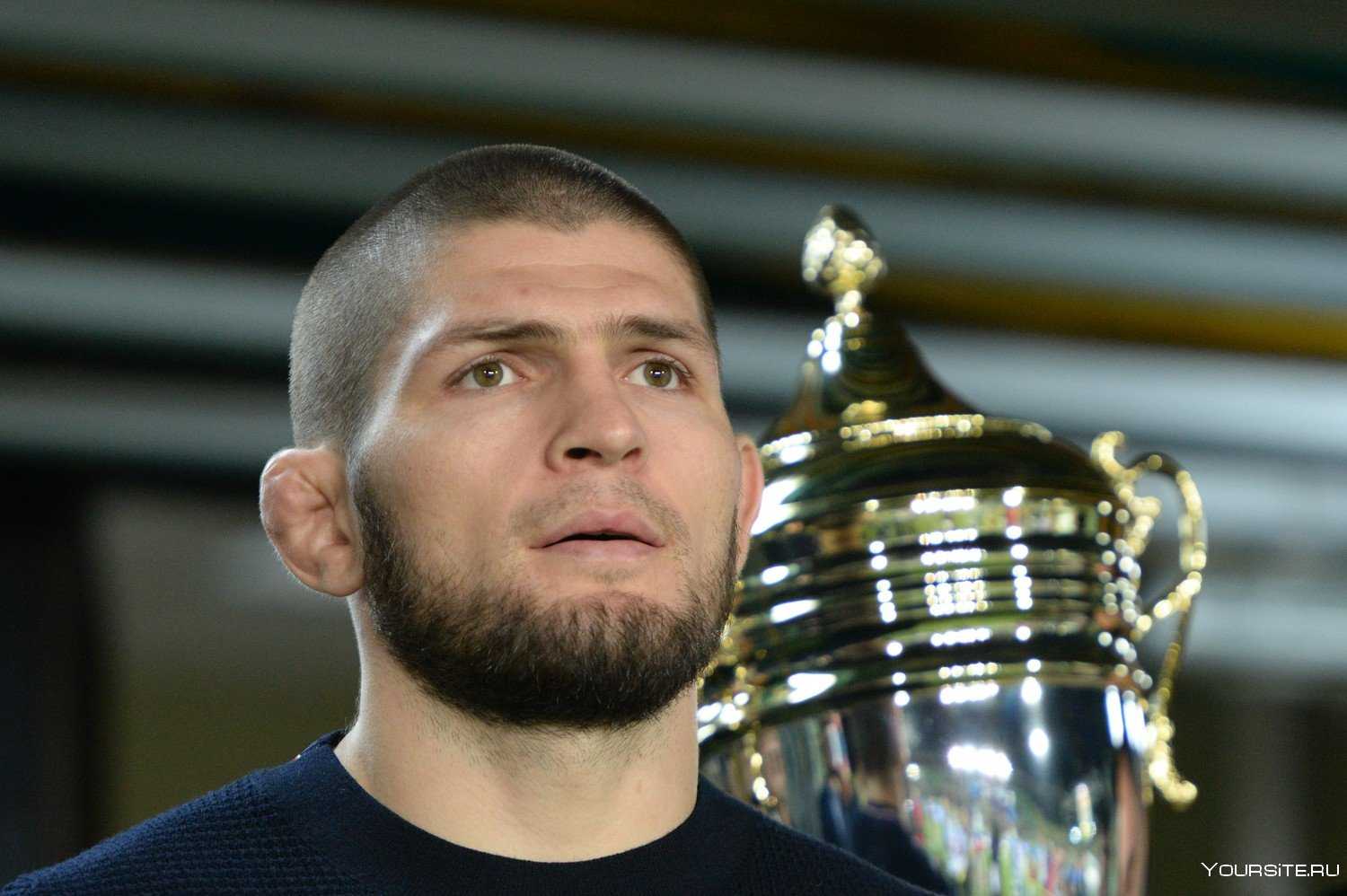 Хабиб нурмагомедов / khabib nurmagomedov (орел)