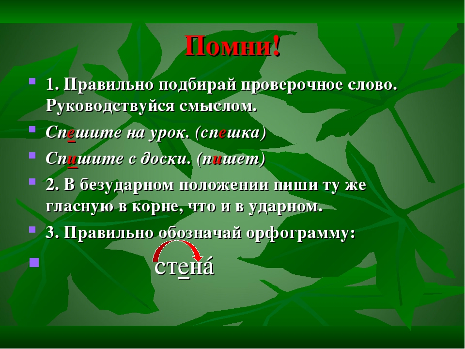 Какое проверочное слово к слову семья?