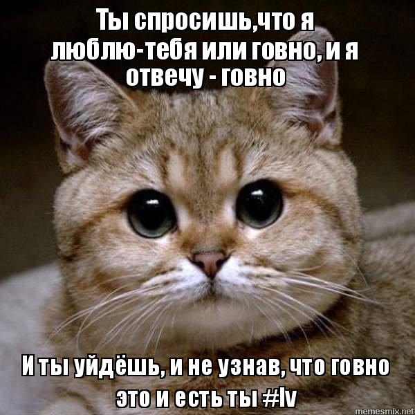 Как сказать девушке что она мне нравится: способы