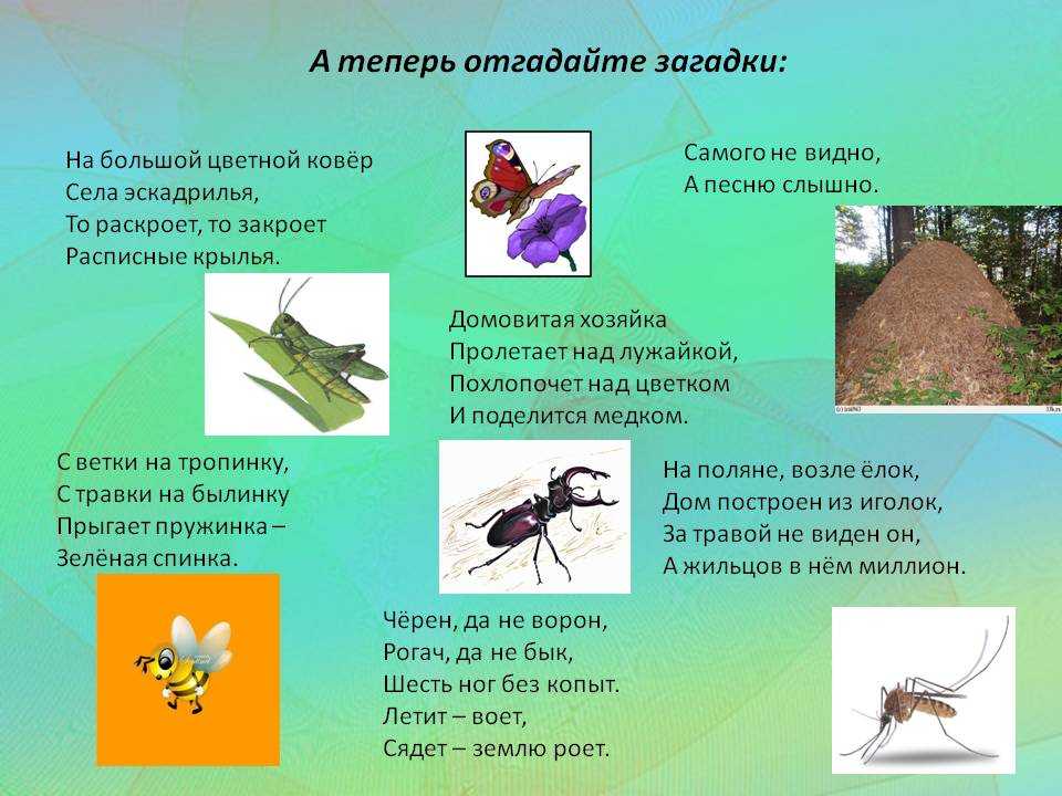 Загадки про космос автор презентации: кузнецова ирина кузнецова ирина ученица 6б класса моу сош 1 г. михайловска свердловской области. - презентация