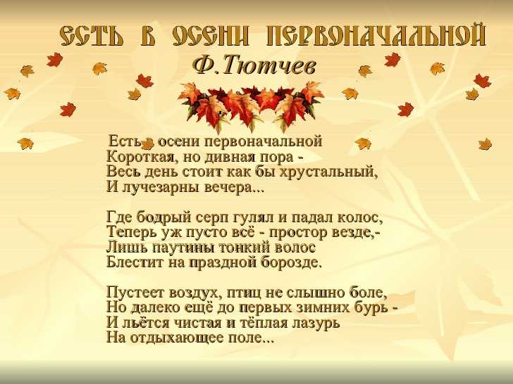 Стихи про осень для детей 4 класса (легкие, красивые, на конкурс)