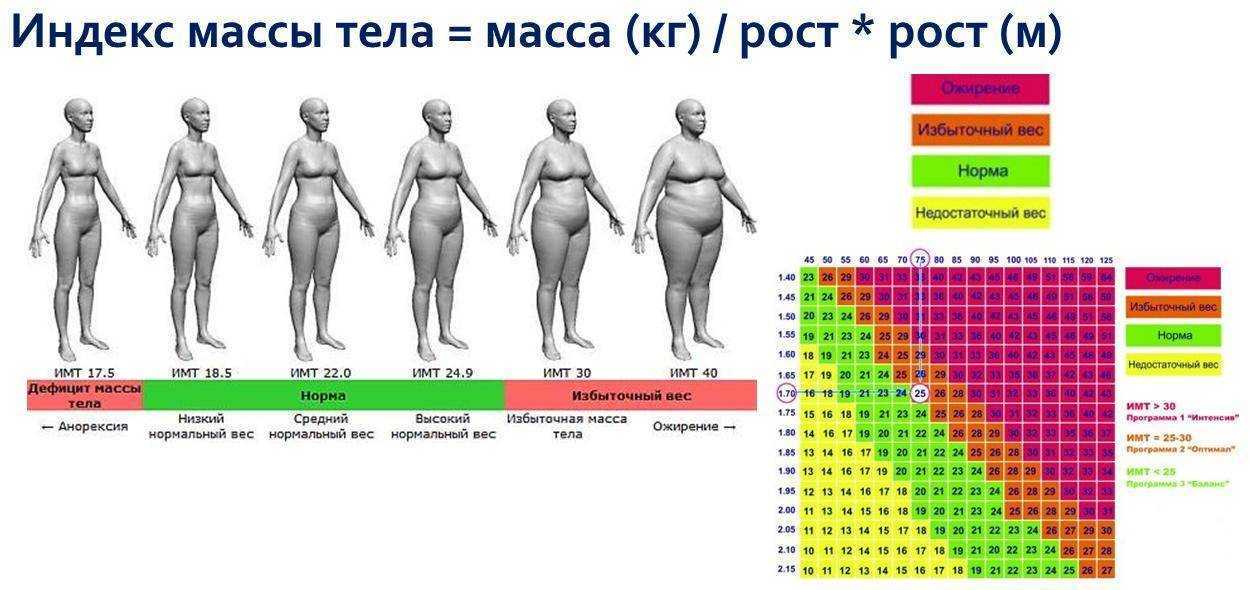 Калькулятор массы тела: рассчитать индекс массы тела, калькулятор имт