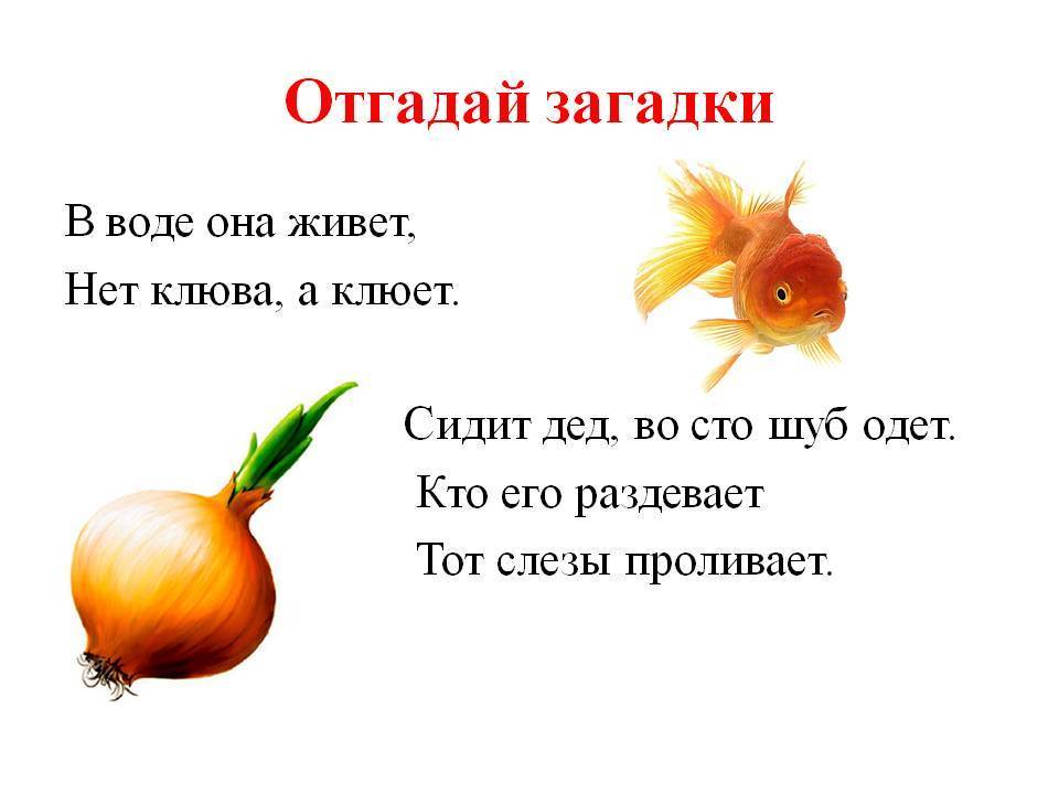 10 интересных загадок, которые понравятся тебе