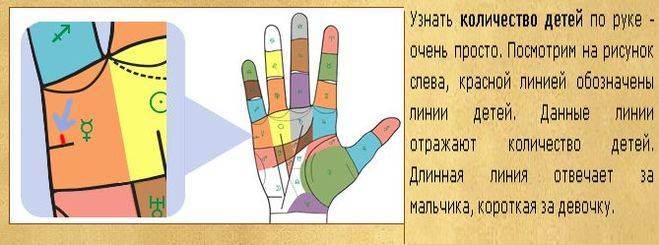 Как узнать, сколько будет детей: точные способы гадания, нумерология