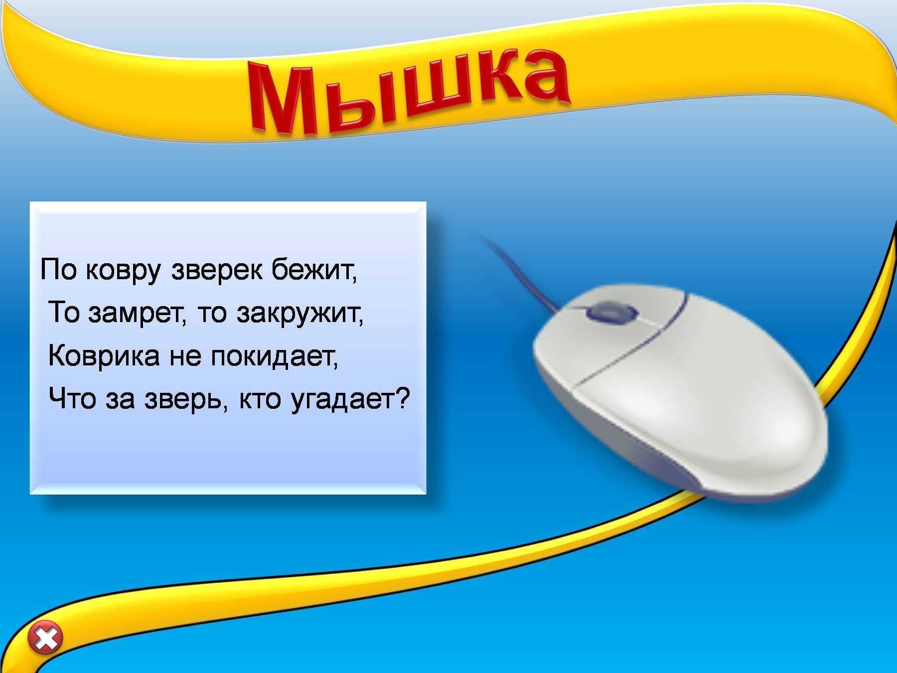 Загадки для домашнего квеста . загадки о предметах и бытовой технике
