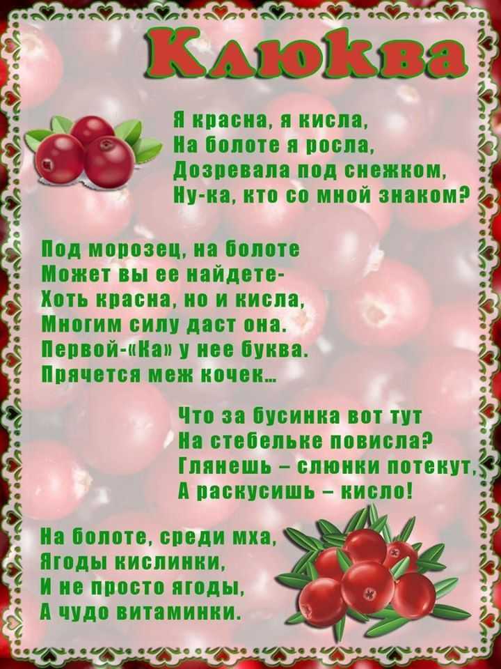Загадка про ежевику для детей короткие. загадки для детей про ягоды