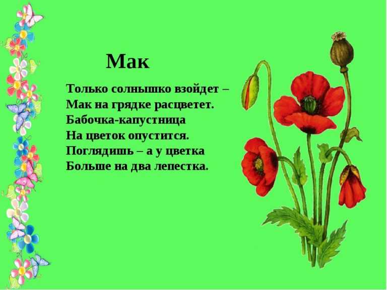 Стихотворения про цветы для дошкольников