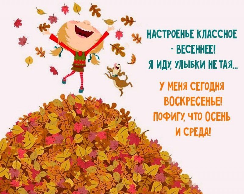 Смешные анекдоты про школу для детей 9-12 лет