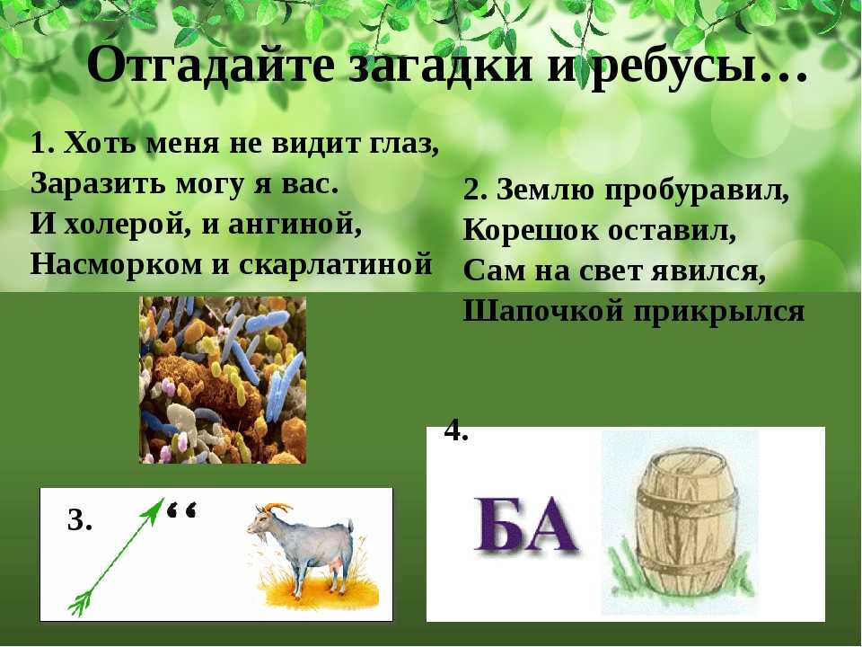 Загадки про учителя с ответами - я happy мама