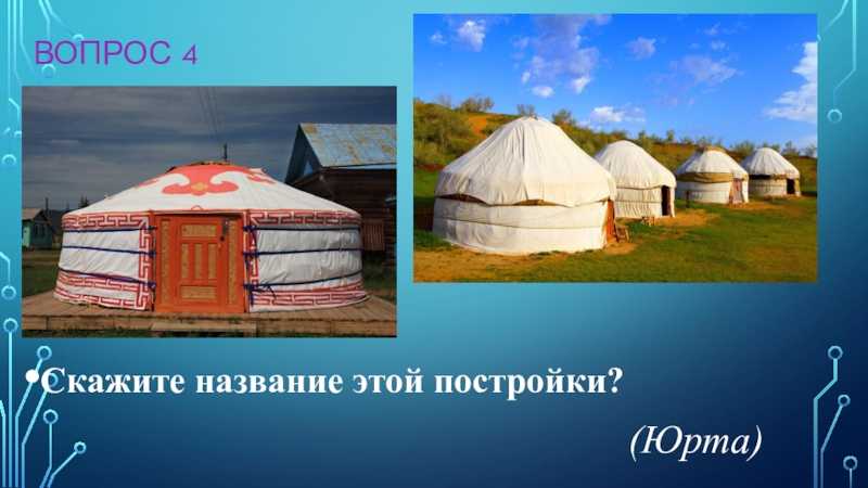 Раскраски для детей — распечатать бесплатно