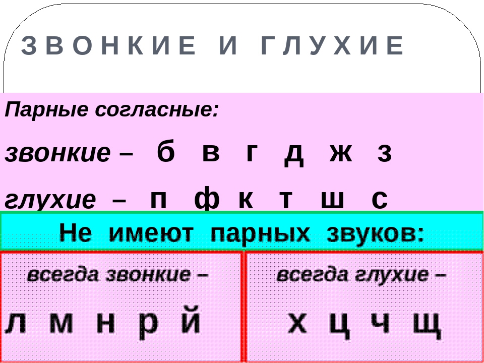 3 загадки о согласных звонких и глухих