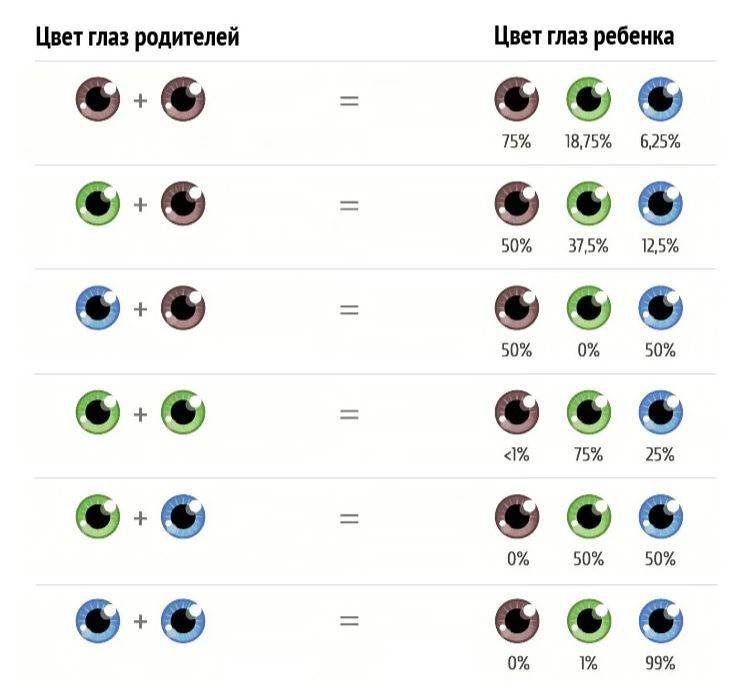 Как узнать цвет глаз будущего ребёнка - "здоровое око"