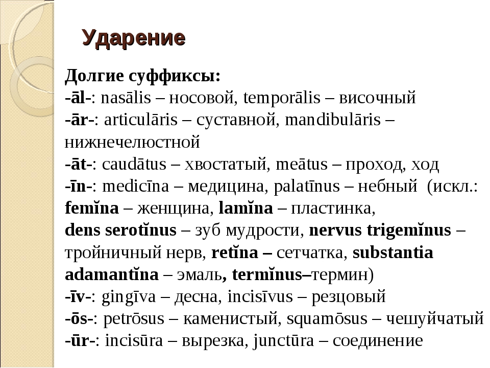 Русские классики в переводе на латынь : ii