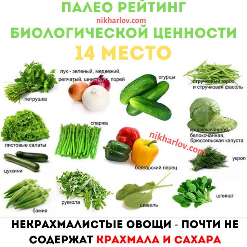 Овощи: виды и список названий с описанием полезных свойств