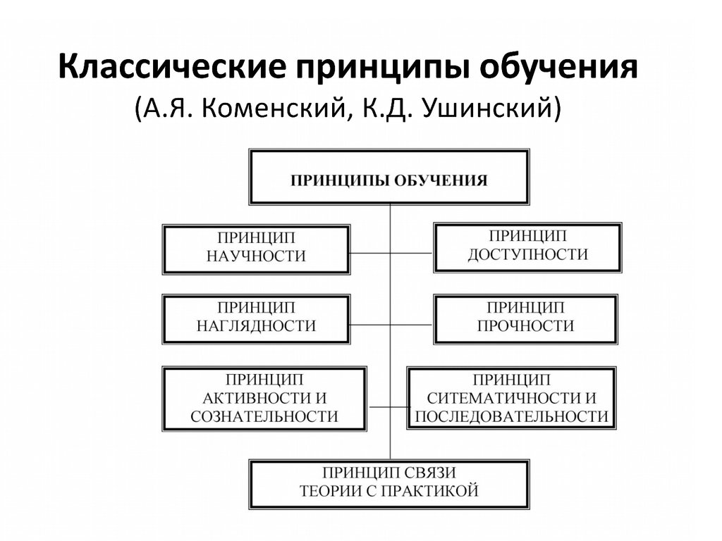 Урок 2. основные принципы дидактики