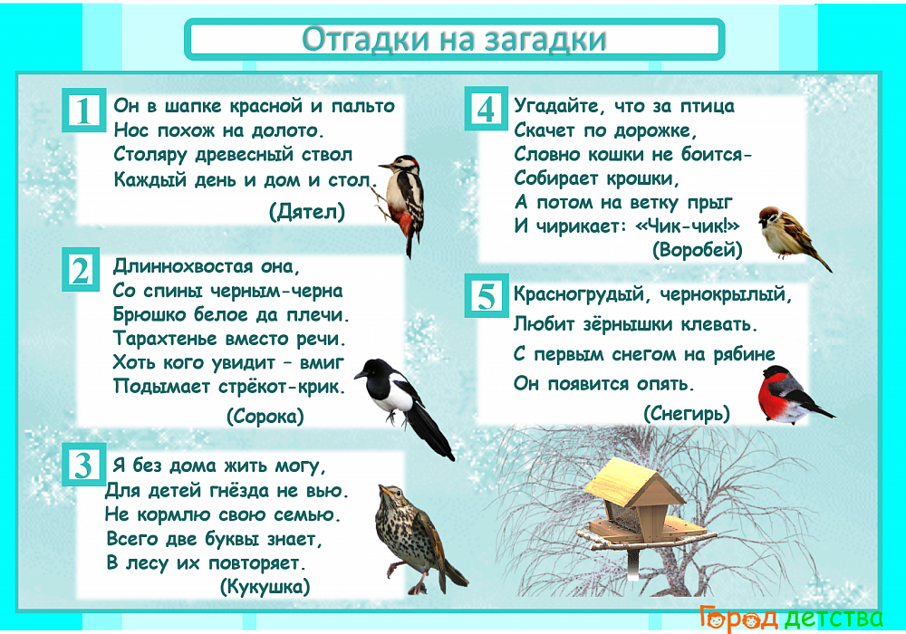 Загадки о птицах для детей с ответами