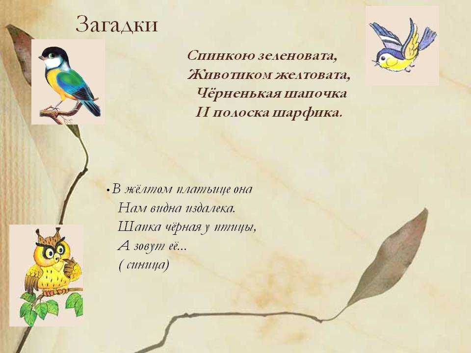 Загадки про птиц для детей