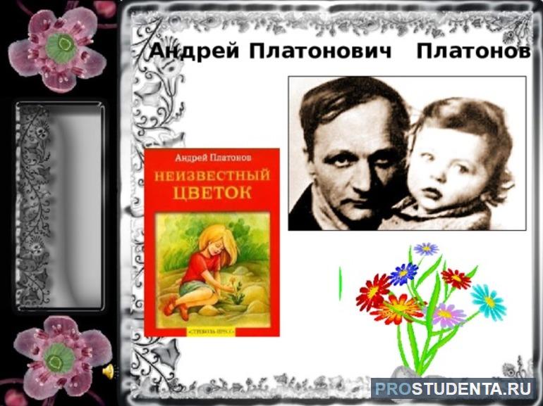 Неизвестный цветок краткое содержание для читательского дневника
