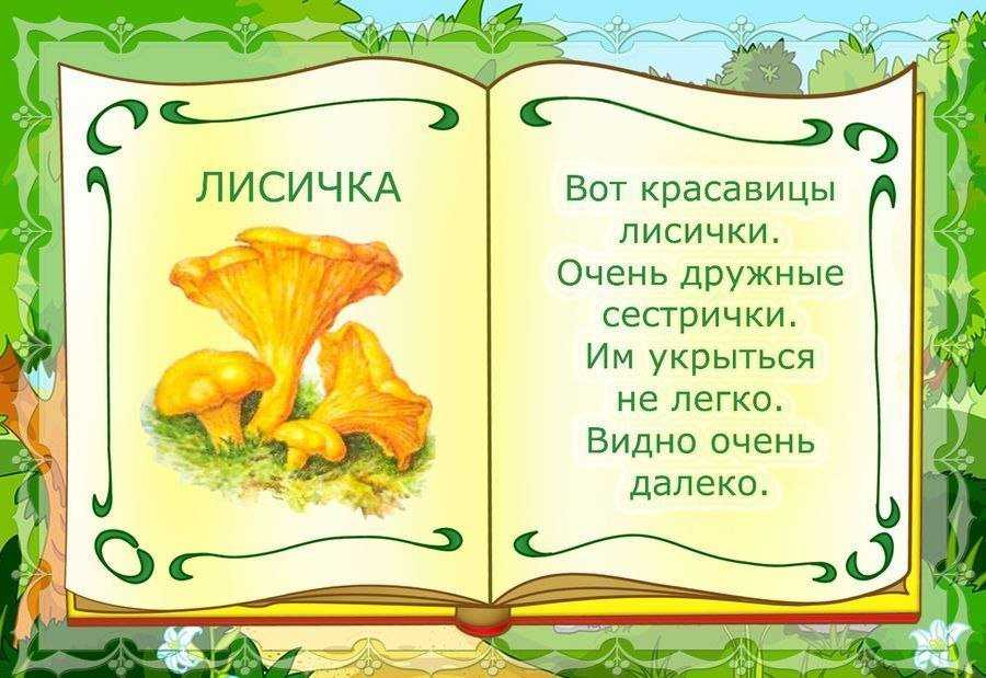 Презентация на тему грибная
считалка