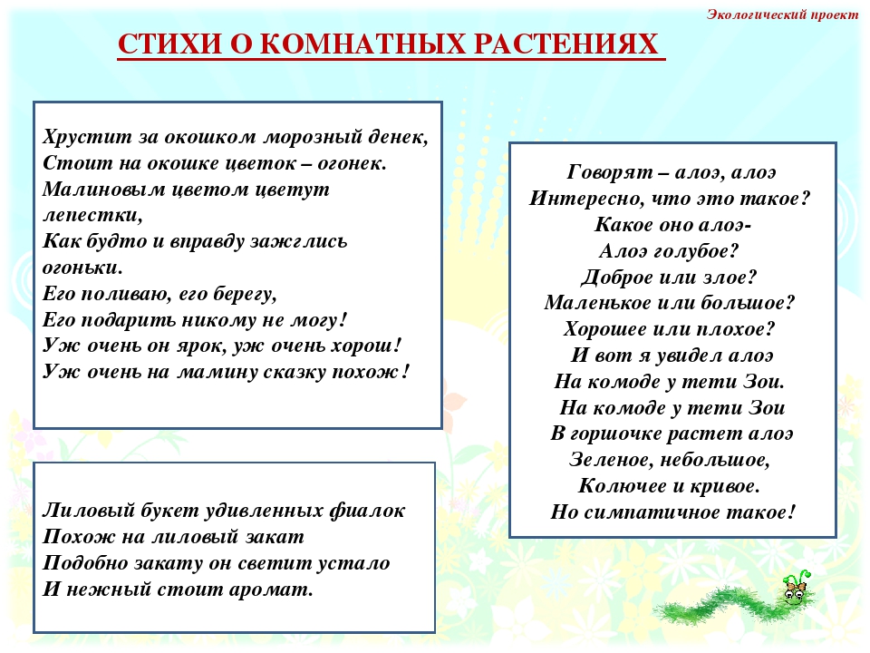 Стихи про семечки: стихи про семечки — стихи, картинки и любовь