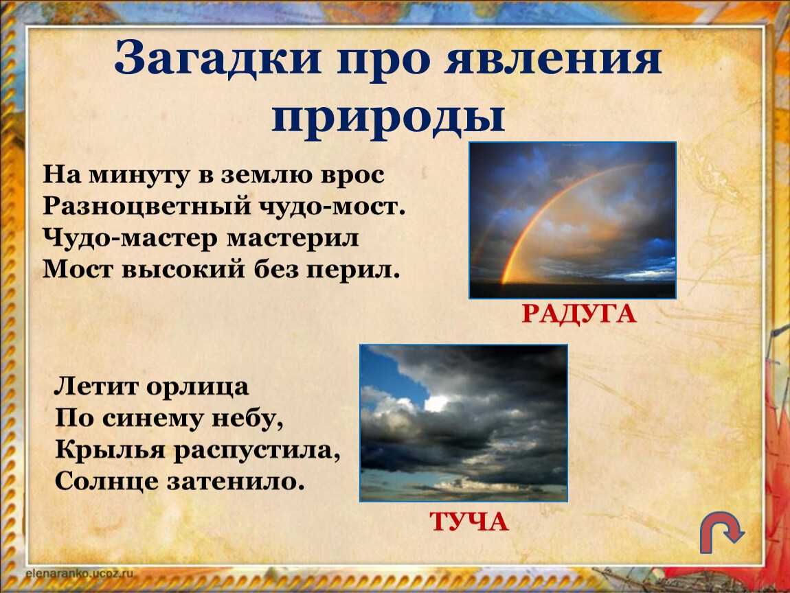 Загадки о природе с ответами, 1-4 класс