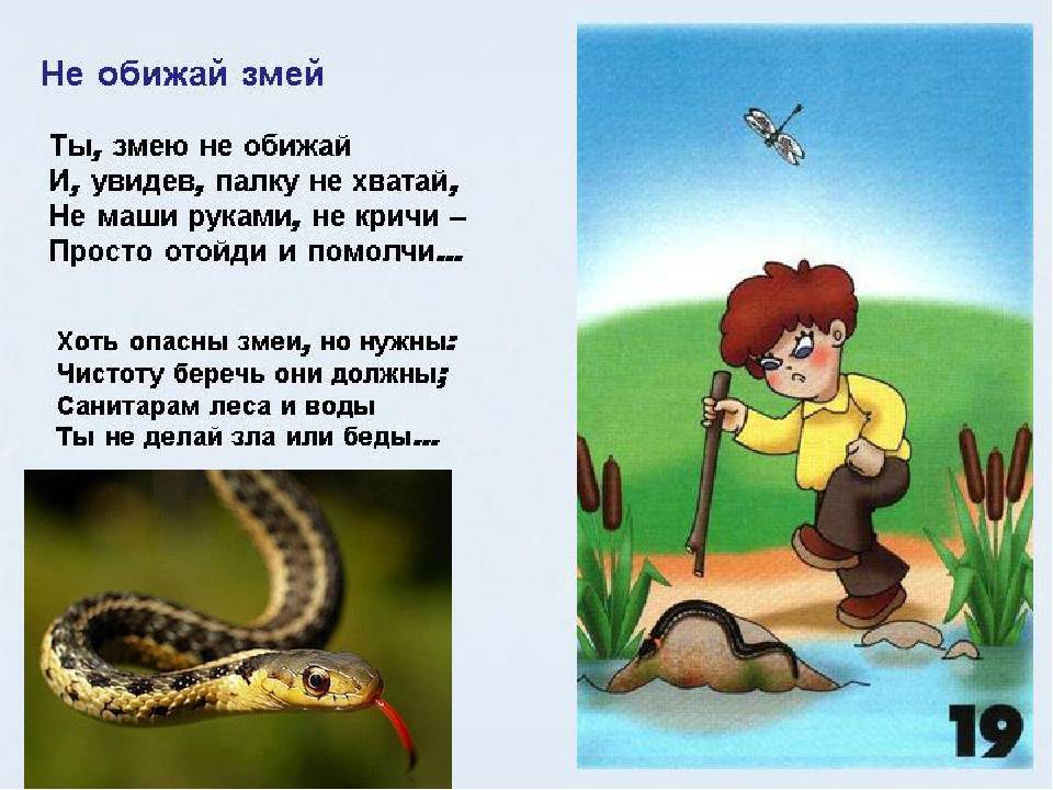 Загадки про страны мира и достопримечательности - стихи для детей