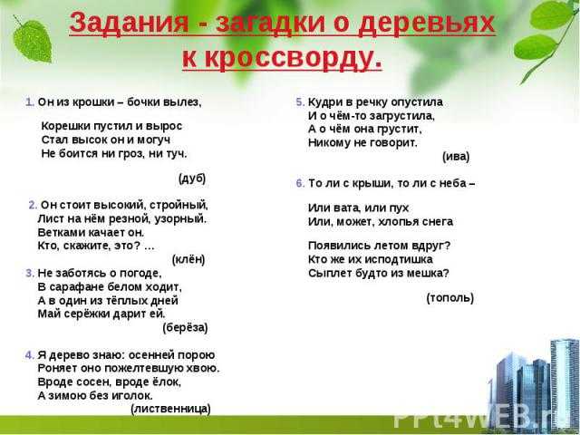 Загадки про деревья - подготовка к школе и развивающие задания для детей мама7я
