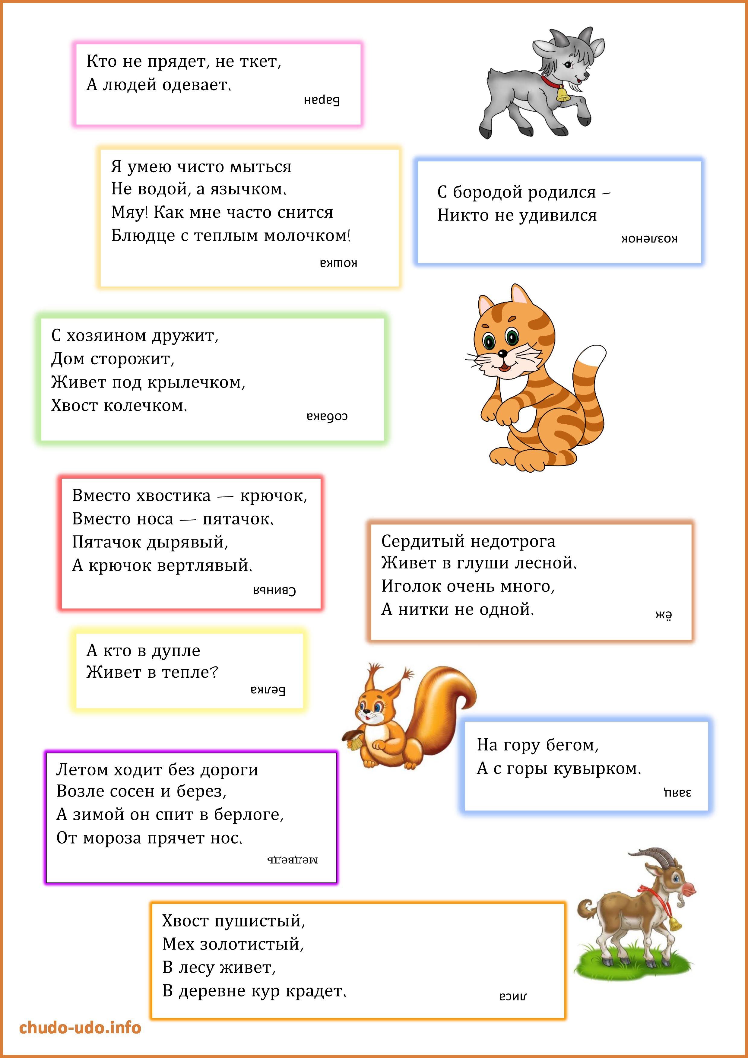 Загадки про кошку и мышку