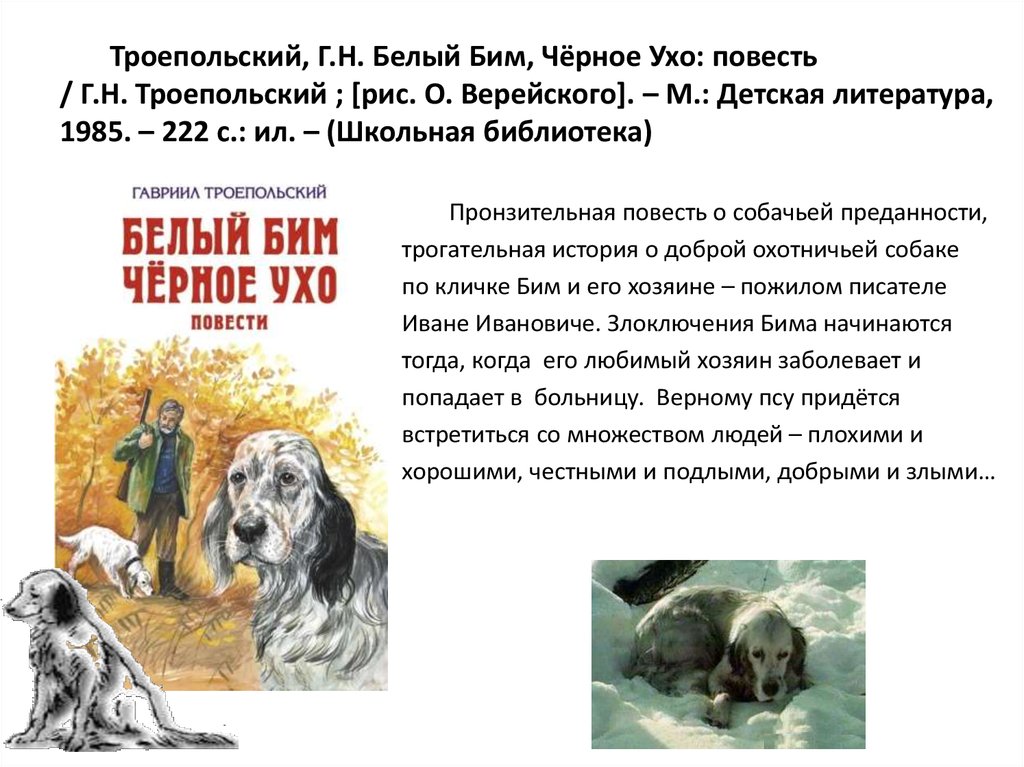 Тема милосердия в повести троепольского "белый бим черное ухо". книги-маяки. белый бим черное ухо идея повести белый бим черное ухо