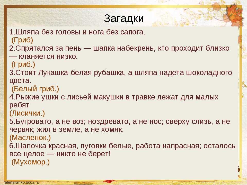 Загадки про грибы для детей с ответами