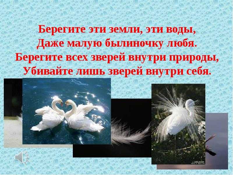Краткое содержание «белая цапля»