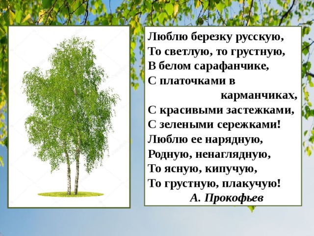 Упражнение 11 - гдз русский язык 4 класс канакина учебник часть 1
