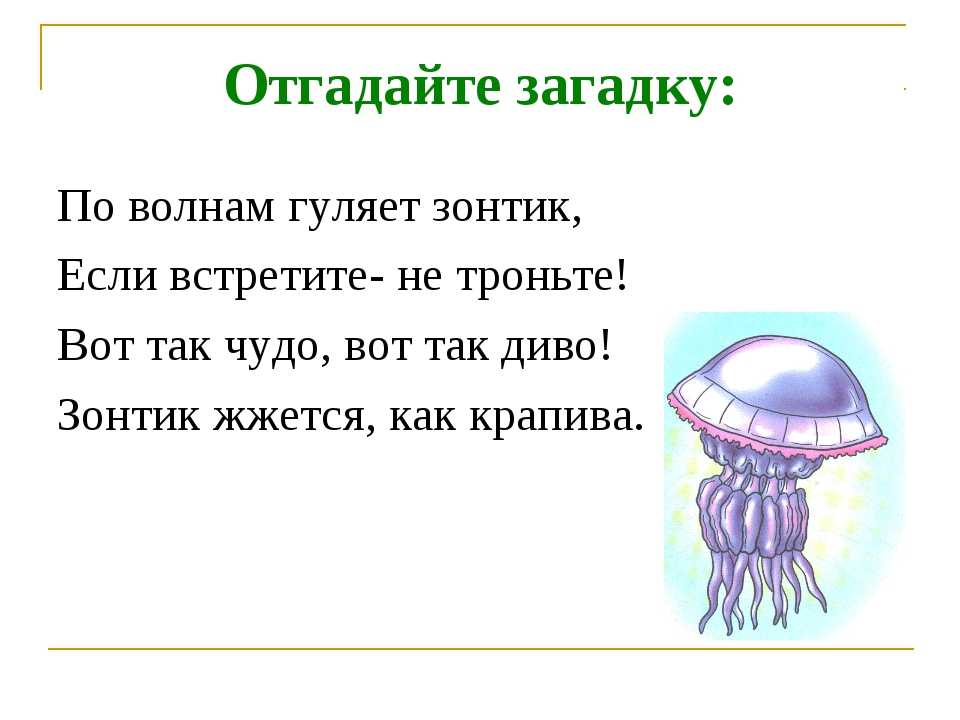 Школьные загадки с ответами: про школу, учеников, школьные принадлежности, предметы