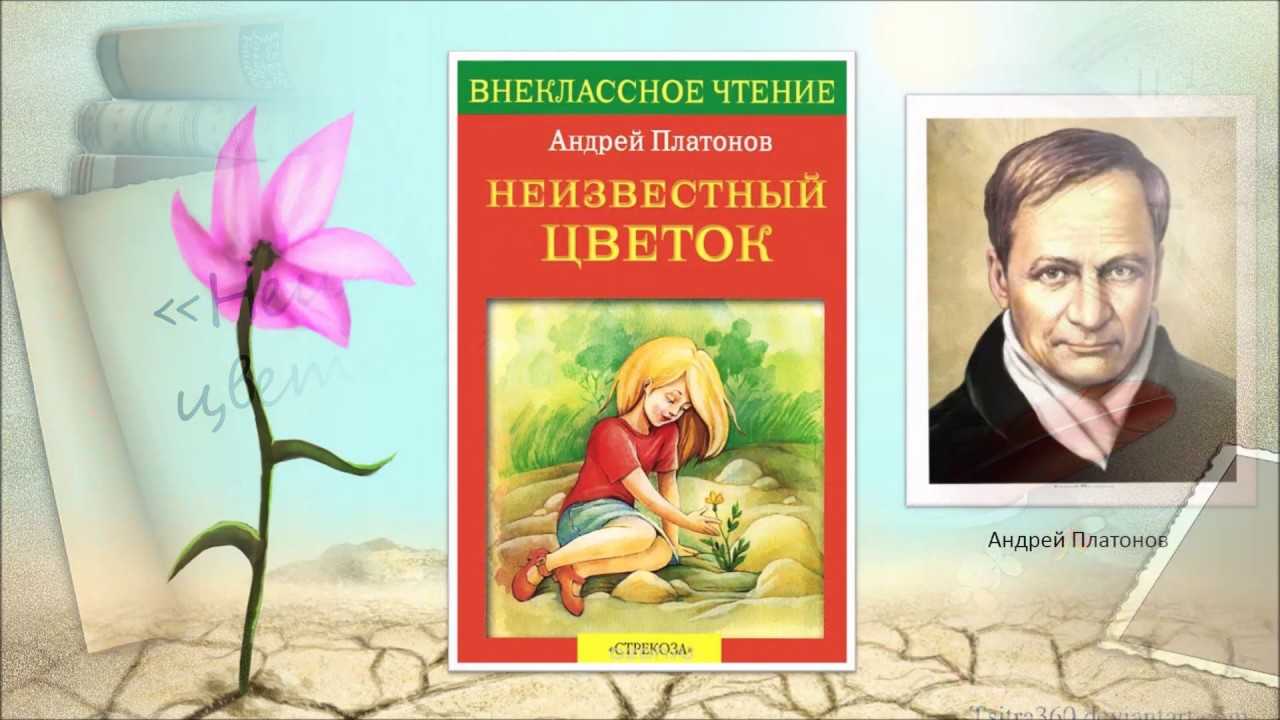 Понемногу: а. платонов "неизвестный цветок", ответы на вопросы учебника, 6 класс