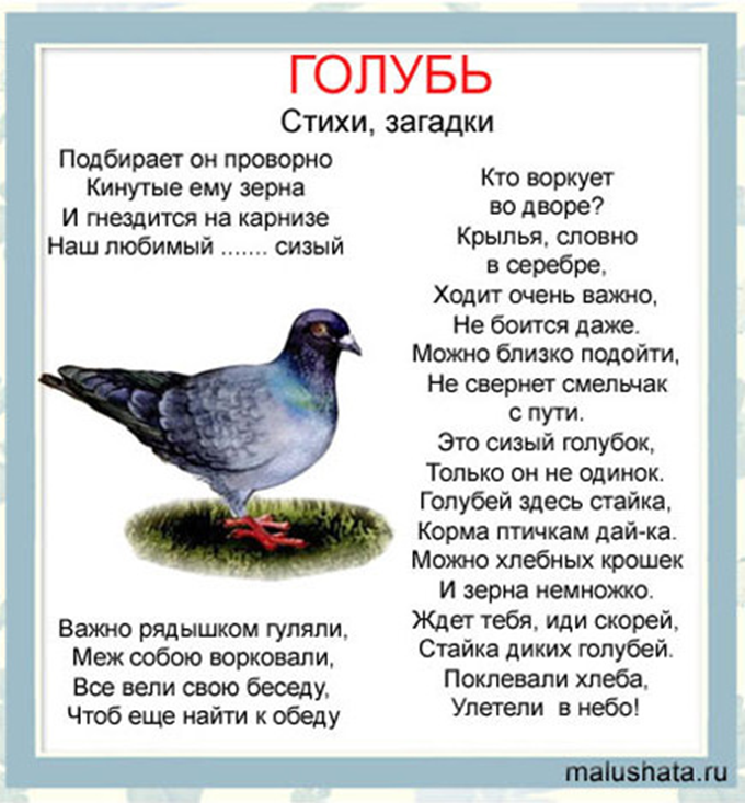 Загадки для детей (c ответами): 2000 самых интересных детских загадок ~ я happy мама