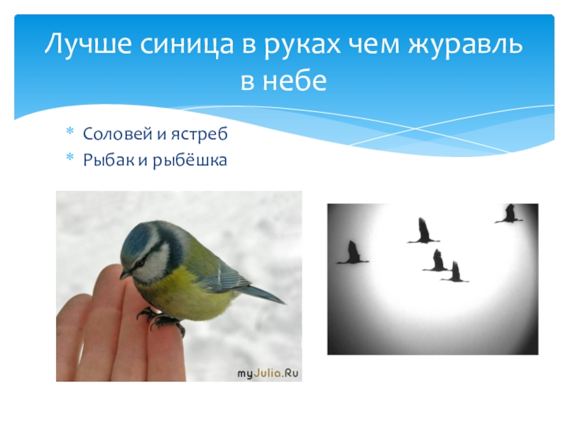 Пословицы и поговорки о птицах для дошкольников