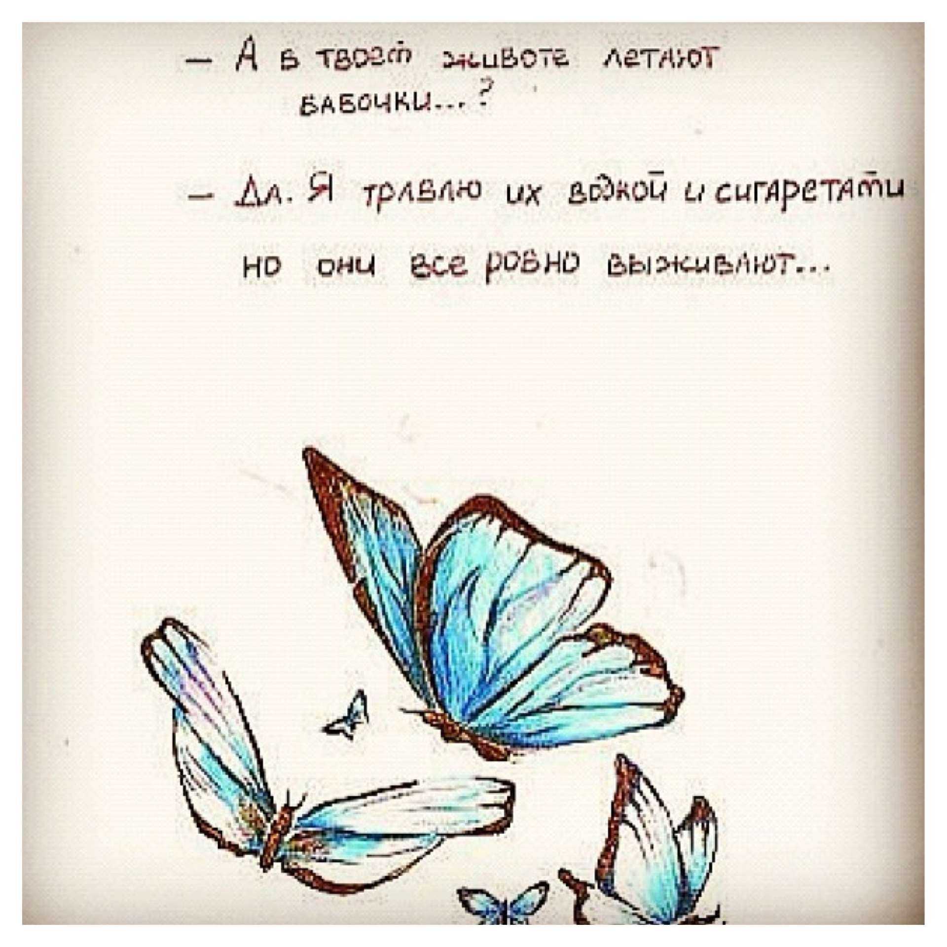 Цитаты афоризмы о животных мужиках и женщинах кошках.