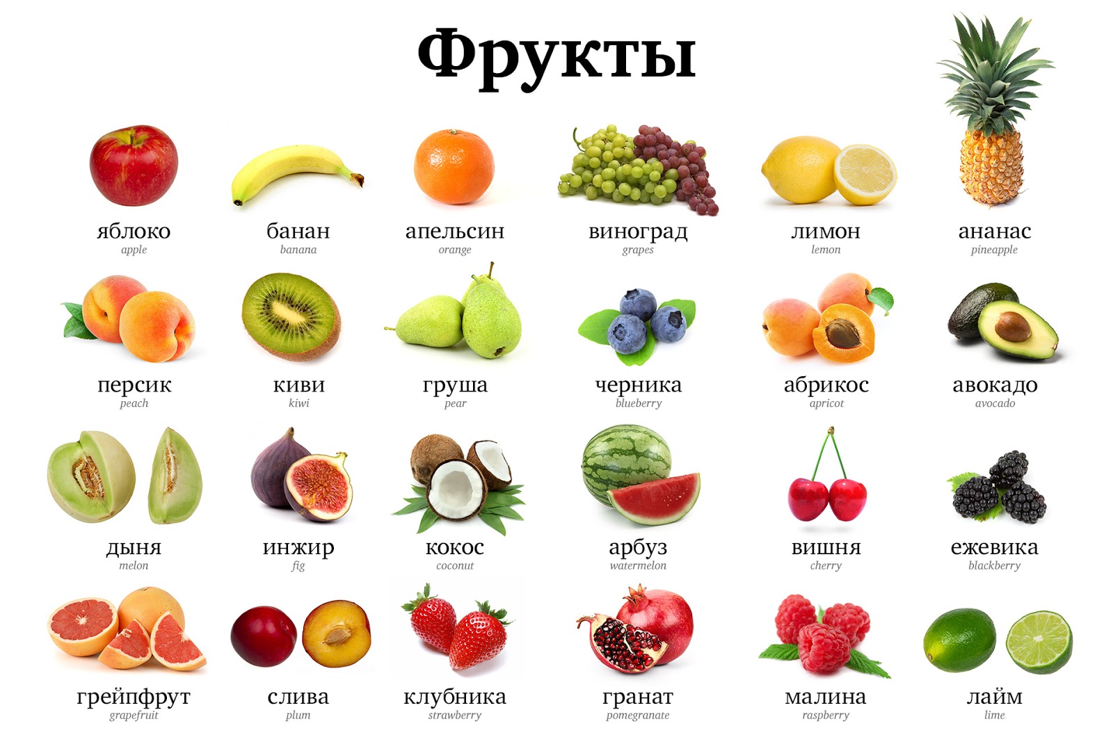 Фрукты и овощи на букву "н": полное список с фото и описанием