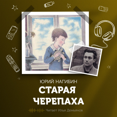 Сочинение 9.3: совесть в произведении ю. нагибина «старая черепаха» — как понять и описать