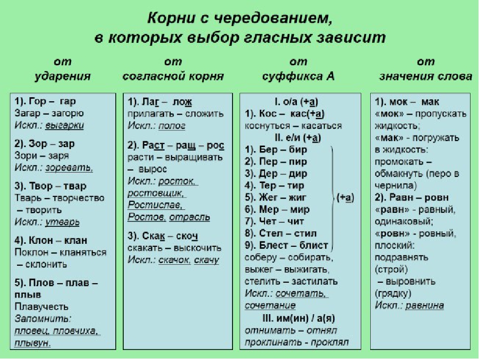 Заря это словарное слово: однокоренные слова — словарь и онлайн подбор – всё о детях – беременность, воспитание, уроки для детей