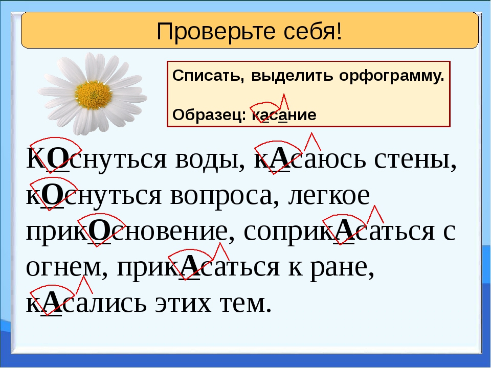 Какое проверочное слово к слову "семья"? примеры и объяснения