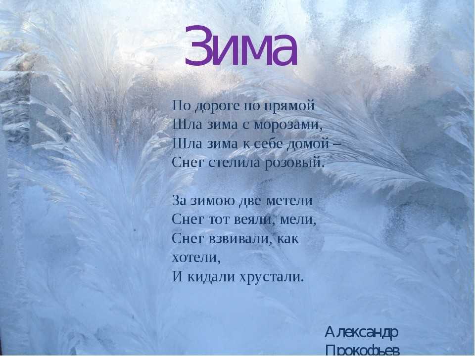 Некрасов снежок