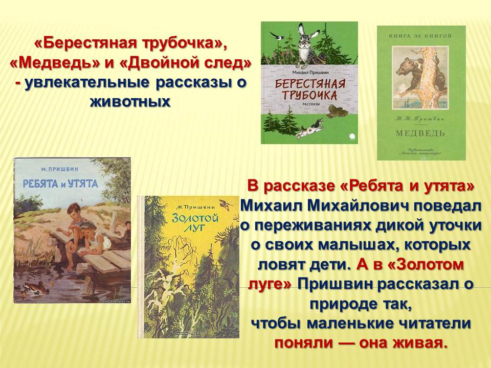 Краткое содержание сказки «кладовая солнца» м. пришвина