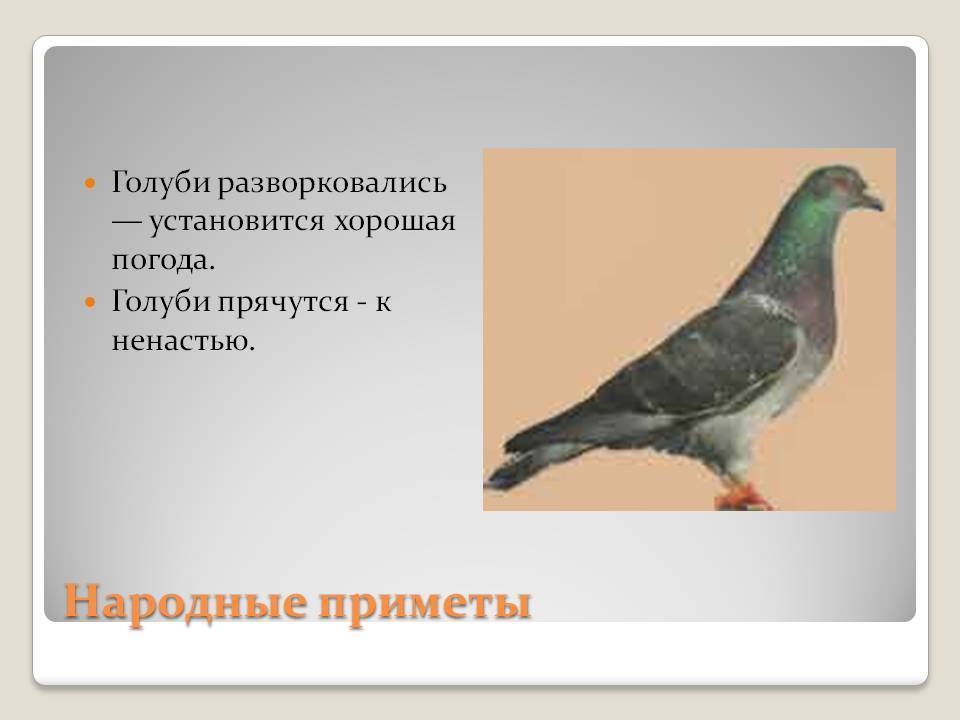 Блестящая задача по математике | черняков и его дневник