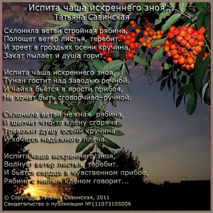 Что за фрукт хурма