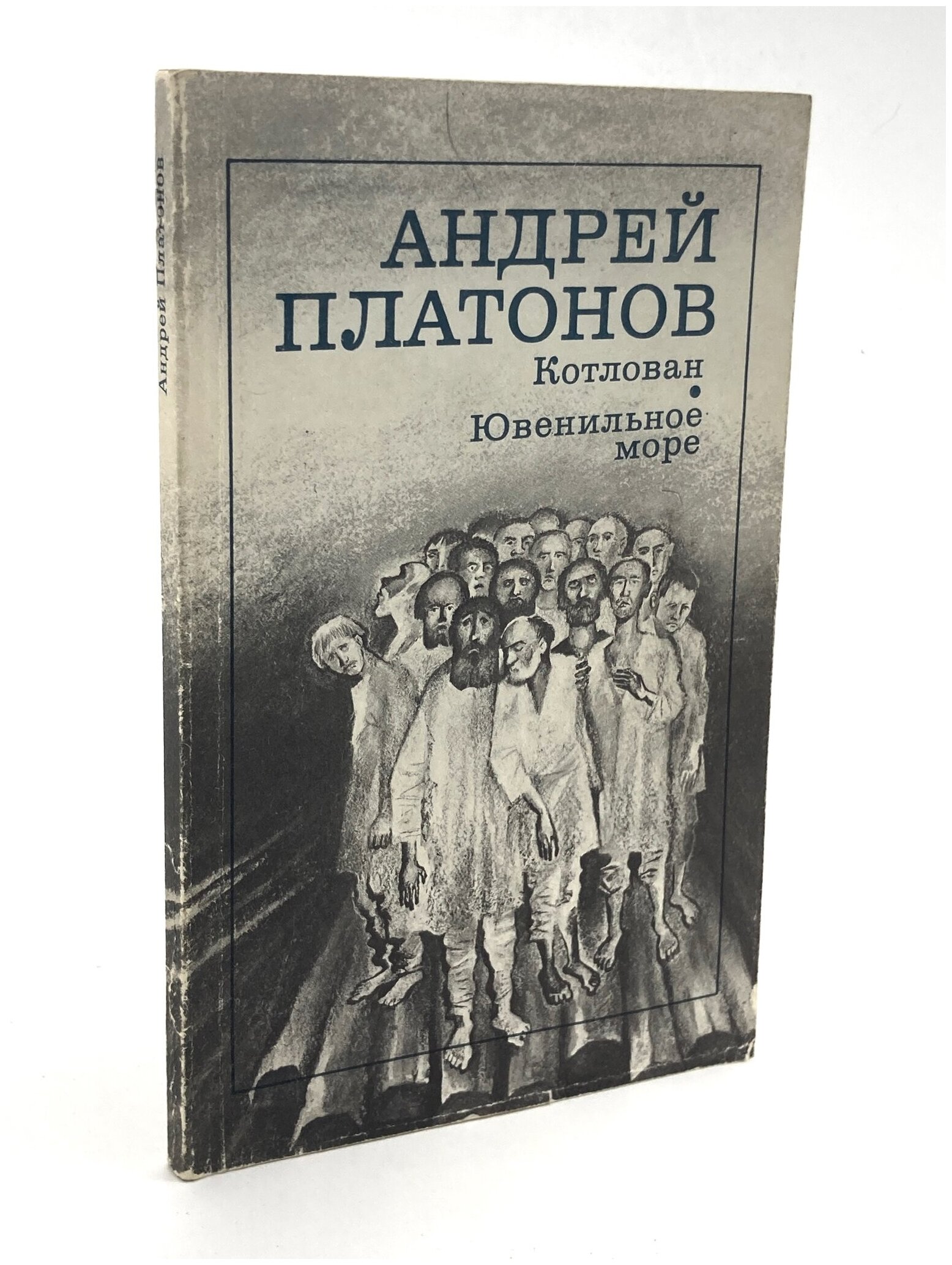 Ювенильное море платонов краткое содержание