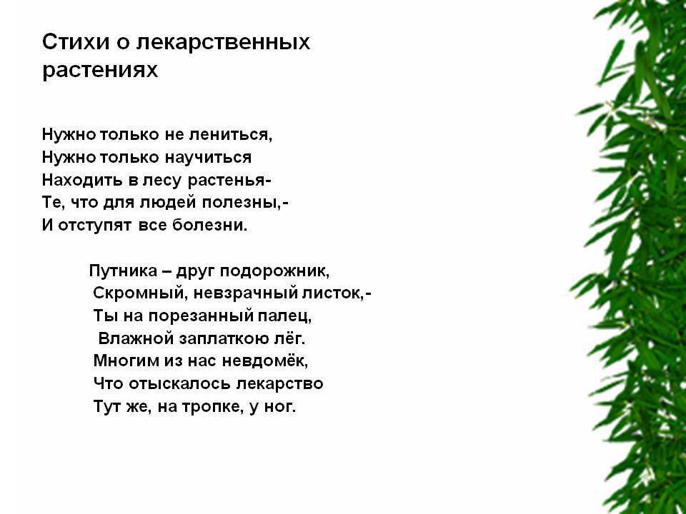 Стихи про семечки: стихи про семечки — стихи, картинки и любовь – всё о детях – беременность, воспитание, уроки для детей