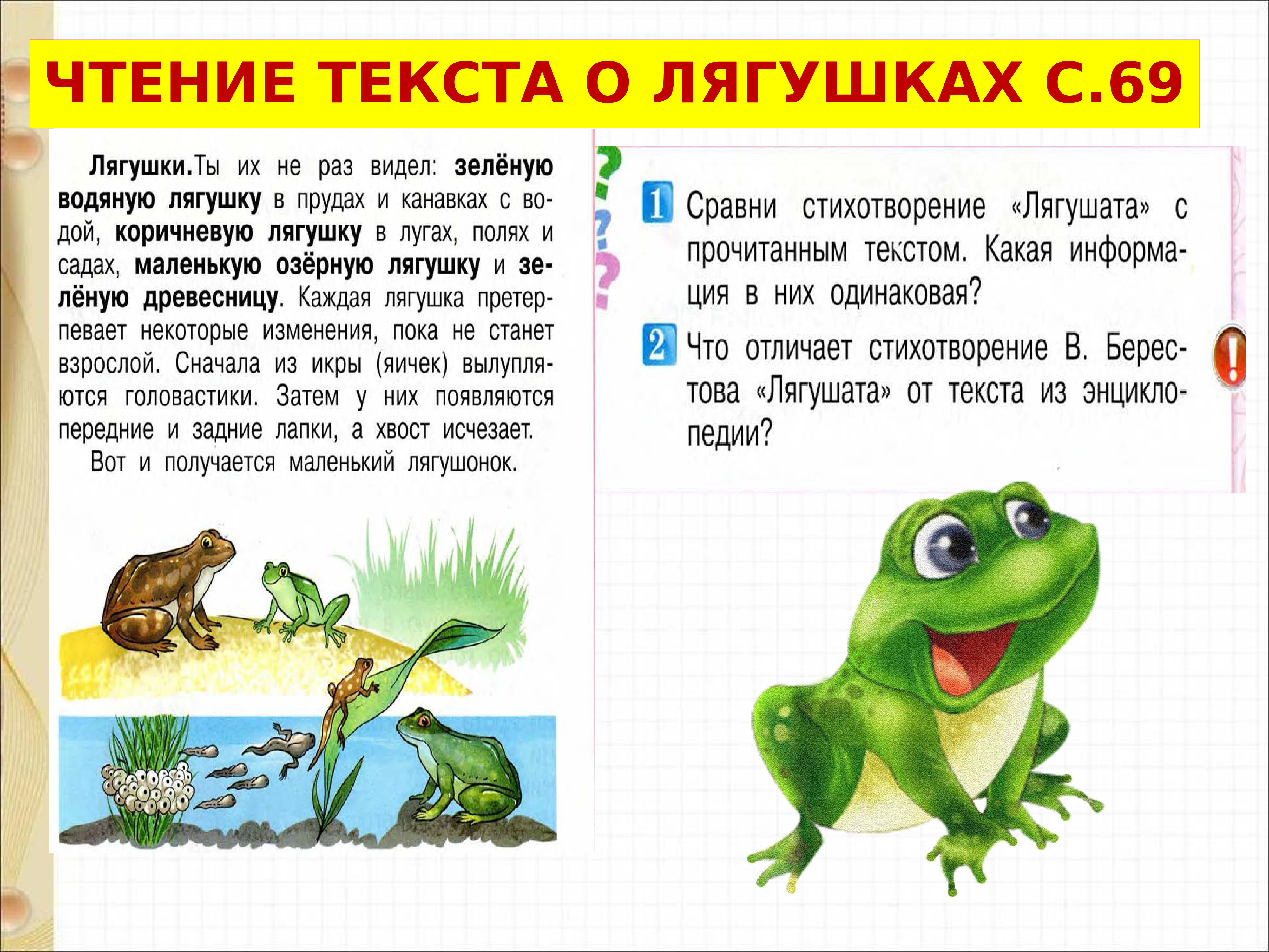 «лягушонок» - краткое содержание рассказа эдгара по